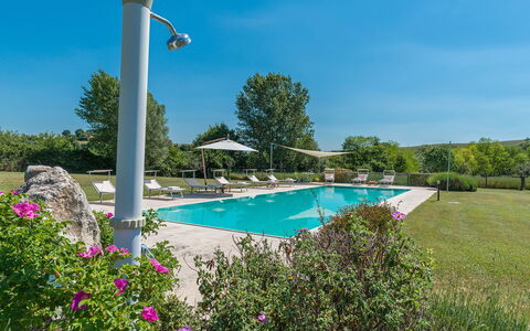 Alborata 10: Schwimmbad, Resort, Garten, Landscaping, Schatten, Eco Hotel, Gartenmöbel, Estate, Park, Plantage