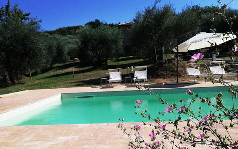 Amandula 6: Schwimmbad, Resort, Estate, Garten, Hazienda, Landscaping, Hinterhof, Garten, Villa, Bauernhaus