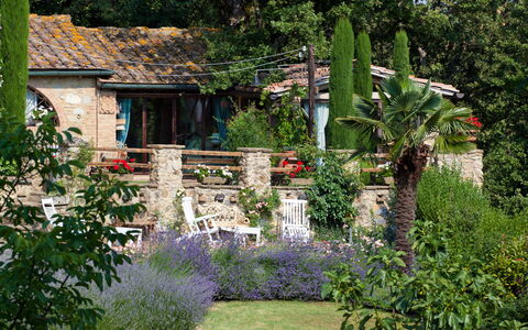 Borgo Paradiso 4+2: Strauch, Garten, Hinterhof, Frühling, Ground, Landscaping, Hütte, Garten, Blumentopf