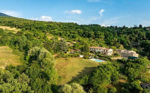Casale le Conce 6: Baum, Vegetation, Ländliches Gebiet, Estate, Wald, Bergstation, Wiese, Eco Hotel, Weide, Plantage