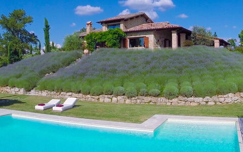 Casale delle Lavande 10: Strauch, Garten, Landscaping, Schwimmbad, Immergrün, Hinterhof, Garten, Plantage, Resort