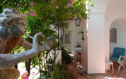 Casa Maria 6+2: Strauch, Garten, Frühling, Blumentopf, Hazienda, Zimmerpflanze, Garten, Schatten, Urlaub
