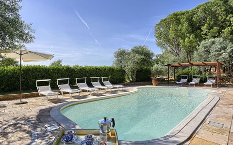 Virginia 8: Schwimmbad, Gartenmöbel, Möbel, Resort, Schatten, Stuhl, Sonnenliege, Eco Hotel, Regenschirm, Garten