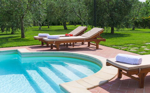 Vinciluna 4: Schwimmbad, Gartenmöbel, Möbel, Resort, Garten, Sonnenliege, Schatten, Water Feature, Freizeit, Landscaping