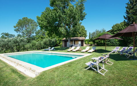 Podere Gragnano 12: Baum, Haus, Zuhause, Grundstueck, Estate, Bauernhaus, Hütte, Garten, Rasen, Schwimmbad