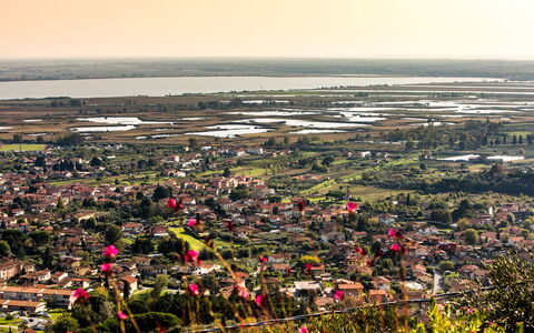 Il Ciliegio sul Lago 6: Wohngebiet, Vogelperspektive, Luftaufnahmen, Landschaft, Nachbarschaft, Vorort, Urban Design, Feld, Dorf, Plantage