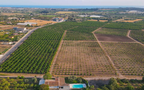 Il Giardino dei Limoni 8: Vogelperspektive, Landwirtschaft, Feld, Landschaft, Plantage, Einfach, Grundstueck, Luftaufnahmen, Ernte, Bauernhof