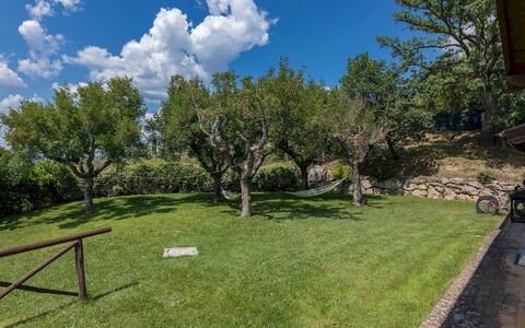 Il Casale del Nonno 8+2: Baum, Landschaft, Strauch, Grundstueck, Einfach, Garten, Rasen, Wiese, Schatten