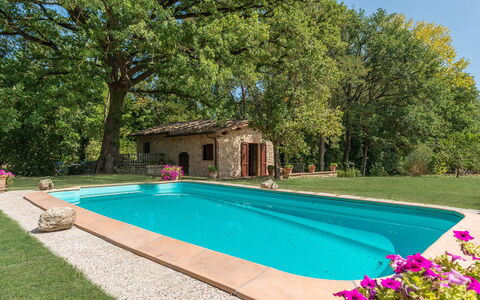 Mulino della Quercia 2+1: Schwimmbad, Garten, Hinterhof, Schatten, Landscaping, Hazienda, Bauernhaus, Garten, Eco Hotel, Resort