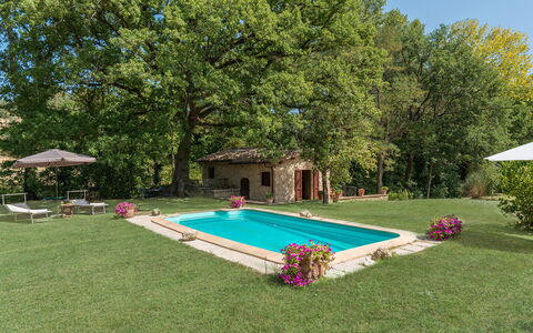 Mulino della Quercia 2+1: Schwimmbad, Garten, Hinterhof, Rasen, Bauernhaus, Estate, Garten, Schatten, Hazienda, Landscaping