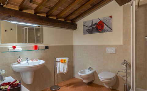 L'Ovile 8: Armatur, Flooring, Fussboden, Installation, Zapfhahn, Sinken, Badezimmer, Fliese, Bad Sink, Toilette