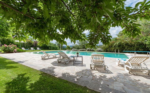 Villa Ambrah 12+1: Schwimmbad, Gartenmöbel, Garten, Schatten, Resort, Stuhl, Flagstone, Eco Hotel, Landscaping, Hinterhof