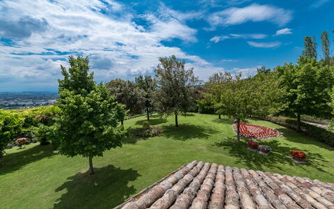 Villa Ambrah 12+1: Himmel, Baum, Gras, Natur, Grün, Vegetation, Landschaft, Strauch, Wolke, Grundstueck