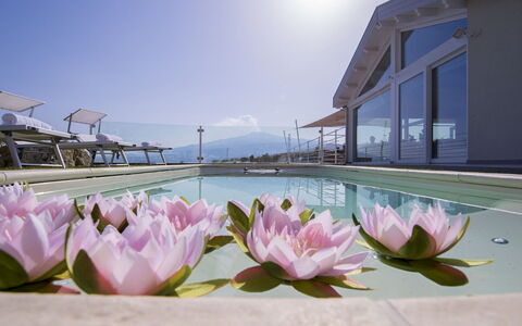 Villa Aura 6: Resort, Schwimmbad, Eco Hotel, Hotel, Villa, Ferienort, Regenschirm, Gartenmöbel, Balkon