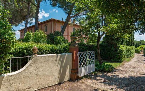 Villa delle Sophore 12: Strauch, Wohngebiet, Zuhause, Haus, Estate, Garten, Landscaping, Hazienda, Garten, Schatten