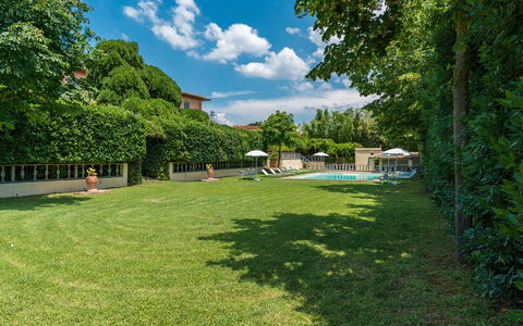 Villa delle Sophore 12: Schwimmbad, Strauch, Garten, Rasen, Schatten, Estate, Landscaping, Garten, Hinterhof, Hecke