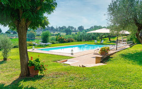 Villa di Morice 14: Schwimmbad, Garten, Resort, Rasen, Estate, Hazienda, Eco Hotel, Landscaping, Schatten, Hinterhof