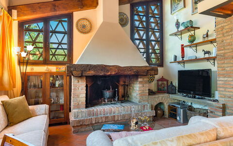 Villa Gino 8+2: Möbel, Holz, Interior Design, Feuerstelle, Wohnzimmer, Zuhause, Couch, Zimmer, Stuhl, Decke