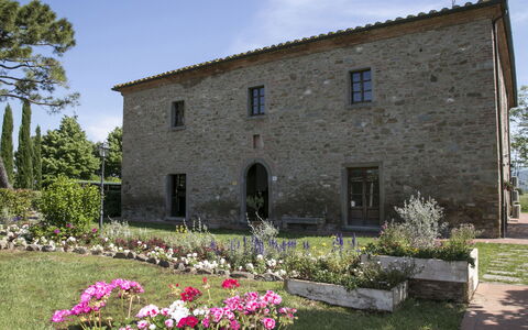Le Caselle 26: Strauch, Haus, Zuhause, Grundstueck, Hütte, Estate, Bauernhaus, Tür, Garten
