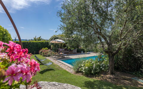 La Capannina 2+2: Blau, Strauch, Garten, Landscaping, Schwimmbad, Schatten, Hinterhof, Garten, Estate, Hazienda