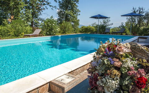 Villa Ombrosa 8: Blau, Schwimmbad, Resort, Eco Hotel, Freizeit, Gartenmöbel, Garten, Landscaping, Schatten, Stuhl