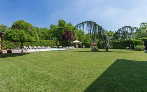 Villa Miki 10: Baum, Gras, Strauch, Garten, Schwimmbad, Grundstueck, Freizeit, Rasen, Schatten, Landscaping