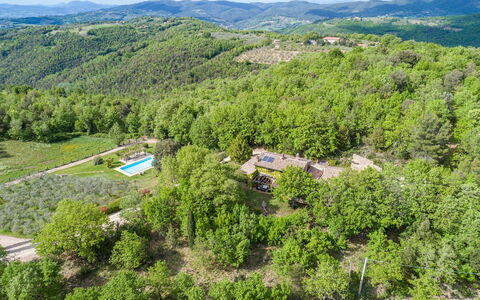 La Cerqua 8: Baum, Natürlichen Umgebung, Vegetation, Landschaft, Ländliches Gebiet, Vogelperspektive, Grundstueck, Wald, Bergstation, Plantage