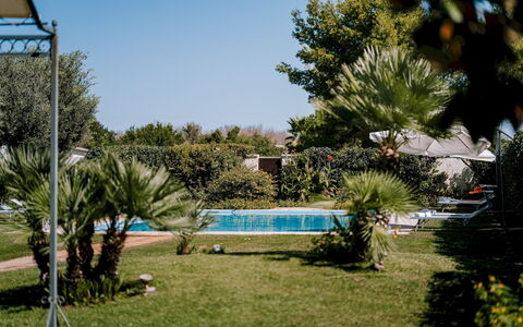 Villa Demal 8+2: Baum, Schwimmbad, Resort, Garten, Schatten, Freizeit, Eco Hotel, Hinterhof, Gartenmöbel