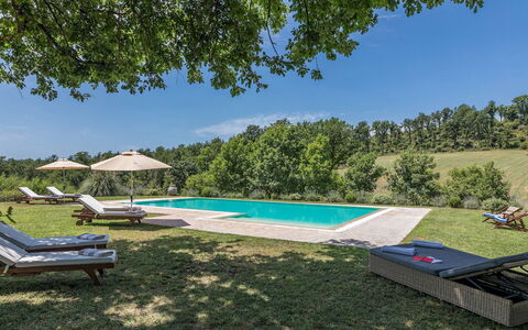 Casale Piattini 10: Garten, Wiese, Landscaping, Schwimmbad, Rasen, Estate, Plantage, Park, Gartenmöbel, Bauernhaus
