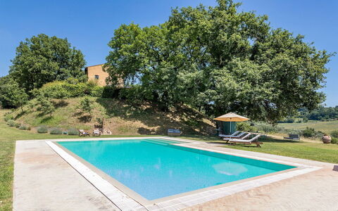 Casale Piattini 10: Schwimmbad, Garten, Estate, Bauernhaus, Landscaping, Rasen, Hazienda, Hinterhof, Schatten, Garten