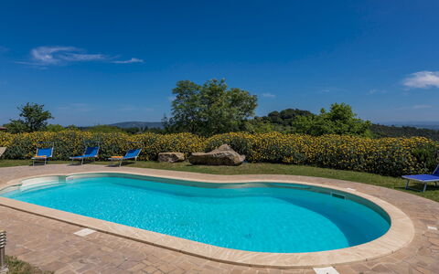 Podere San Ansano 14+2: Blau, Schwimmbad, Resort, Gartenmöbel, Eco Hotel, Hazienda, Landscaping, Estate, Schatten, Bauernhaus
