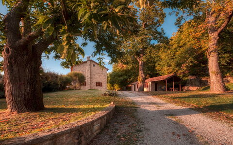 Casale del Castagneto 8: Baum, Ast, Gras, Blatt, Natur, Haus, Hütte, Zuhause, Landschaft, Dach