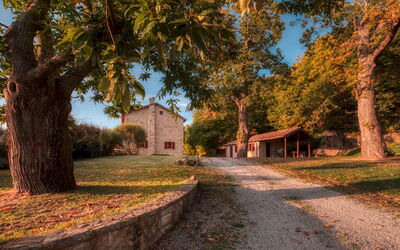 Casale del Castagneto 8
