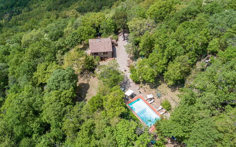Casa Largnano 6+2: Baum, Natürlichen Umgebung, Natur, Vegetation, Landschaft, Ländliches Gebiet, Haus, Wald, Pflanzengemeinschaft, Hütte