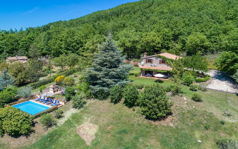 Villa Paola 6: Landschaft, Ländliches Gebiet, Estate, Bergstation, Wald, Eco Hotel, Vogelperspektive, Dschungel, Plantage, Landscaping