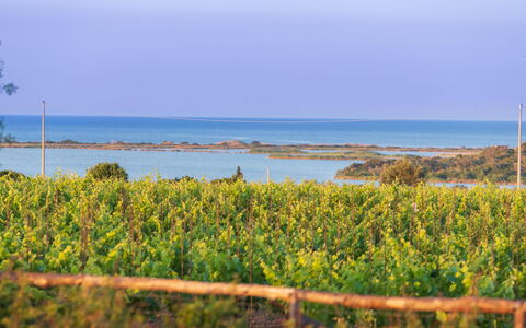 Villa Passo degli Aironi 12: Blau, Horizont, Küsten Und Ozeanische Forms, Meer, Küste, Ozean, Plantage, Ufer, Feld, Shrubland