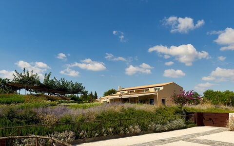 Villa Majoli 9: Strauch, Landschaft, Grundstueck, Pflanzengemeinschaft, Ländliches Gebiet, Estate, Bauernhaus, Landscaping, Shrubland