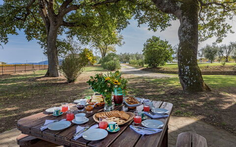 Casale le Tre Querce 8+1: Baum, Landschaft, Möbel, Gartenmöbel, Einfach, Kofferraum, Picknicktisch, Tisch Im Freien, Außenbank, Garten