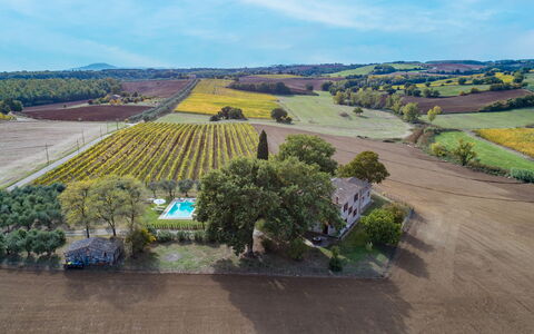 Casale le Tre Querce 8+1: Baum, Landschaft, Wohngebiet, Einfach, Haus, Vogelperspektive, Grundstueck, Ländliches Gebiet, Zuhause, Menschliche Siedlung