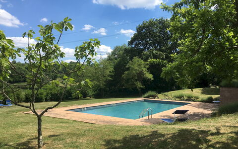 Villa Carmeli 12+2: Schwimmbad, Baum, Schatten, Garten, Hinterhof, Rasen, Landscaping, Garten, Park, Resort