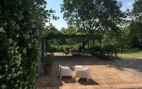 Villa Carmeli 12+2: Blatt, Strauch, Garten, Schatten, Frühling, Landscaping, Hinterhof, Garten, Walkway