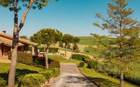 Villa California 6: Gras, Strauch, Grundstueck, Garten, Landscaping, Hütte, Estate, Rasen, Schatten, Bauernhaus