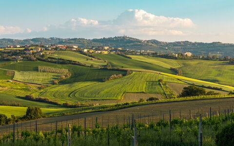 Villa California 6: Grün, Hügel, Feld, Natürliche Landschaft, Landwirtschaft, Wiese, Landschaft, Einfach, Hochland, Ländliches Gebiet