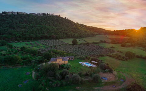 Podere Pratovecchio 14+2: Landschaft, Ländliches Gebiet, Wiese, Grundstueck, Menschliche Siedlung, Dorf, Feld, Plantage, Hütte, Estate