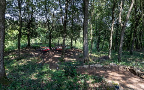 Villa Rinaldi 6: Blatt, Baum, Natürlichen Umgebung, Holz, Ast, Vegetation, Wald, Hain, Wald, Pflanzengemeinschaft