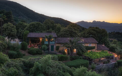 Villa Marraccini 8: Bergforms, Natur, Vegetation, Berg, Natürliche Landschaft, Hügel, Landschaft, Strauch, Hochland