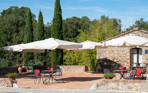 Borgo Gallinaio 32: Schatten, Gartenmöbel, Regenschirm, Garten, Tisch Im Freien, Stuhl, Landscaping, Outdoor Struktur, Garten, Blumentopf