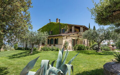 Casale Santa Lucia 8+2: Gras, Vegetation, Strauch, Landschaft, Haus, Zuhause, Grundstueck, Pflanzengemeinschaft, Bauernhaus