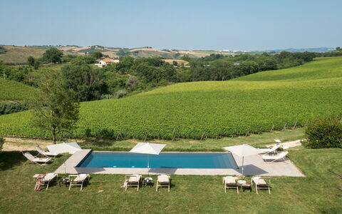 La Casa nei Vigneti 10: Schwimmbad, Sonnenliege, Resort, Gartenmöbel, Regenschirm, Estate, Freizeit, Eco Hotel, Villa, Landscaping