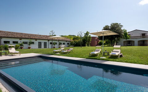 La Casa nei Vigneti 10: Schwimmbad, Estate, Garten, Hazienda, Landscaping, Villa, Bauernhaus, Hof, Rasen, Schatten